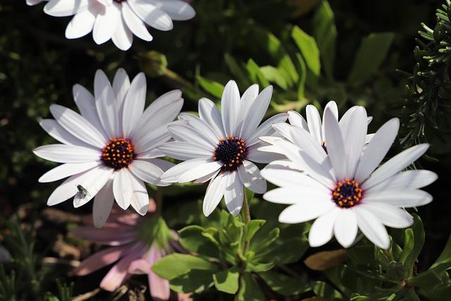 Cannes Escapade: Your Ultimate Travel Guide to the Glamorous French Riviera Experience